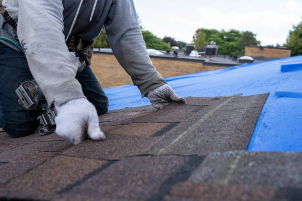 Best Commercial Roofing Services  in Glenwood, AR