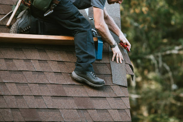 Best Roof Gutter Cleaning  in Glenwood, AR